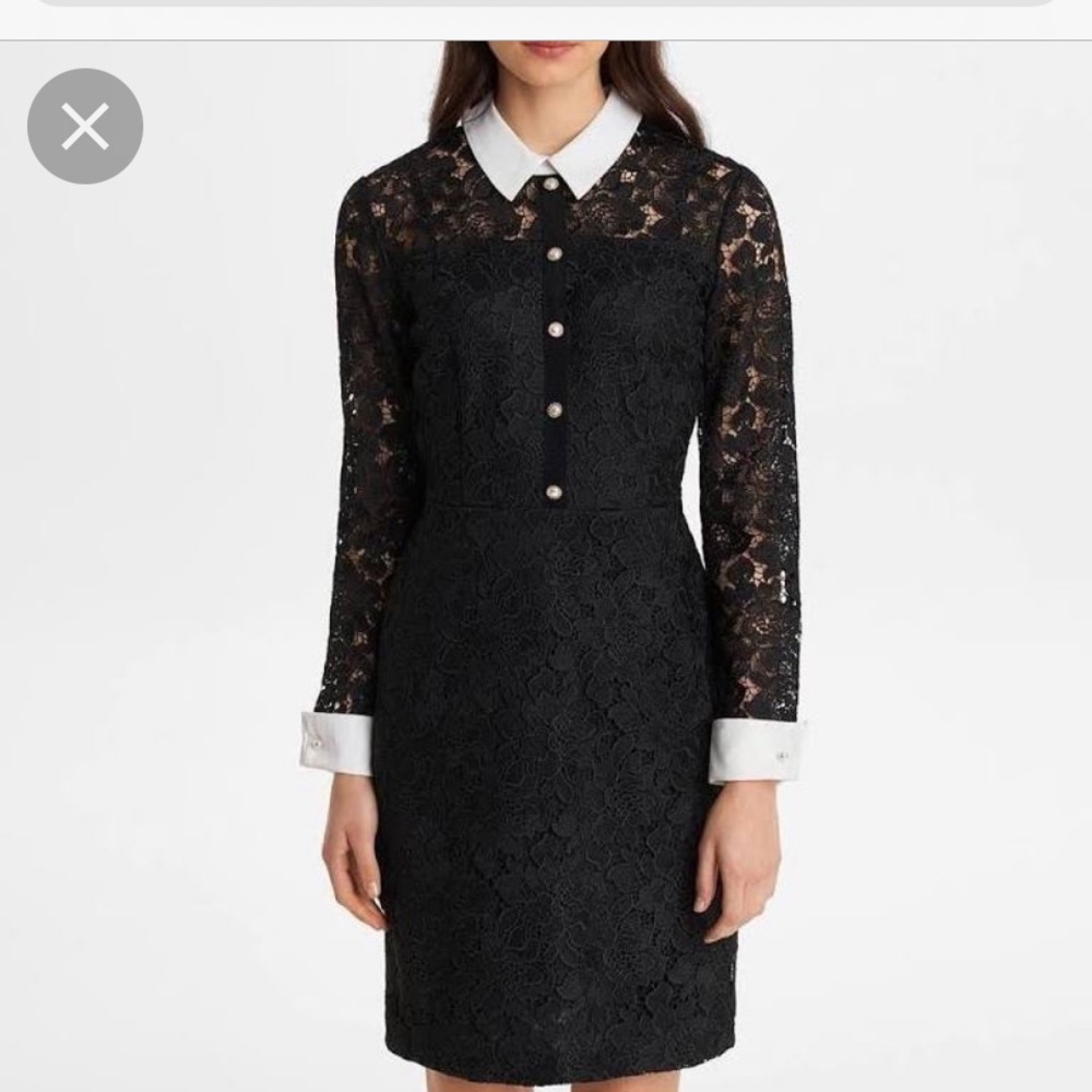 Karl lagerfeld lace collar dress 2